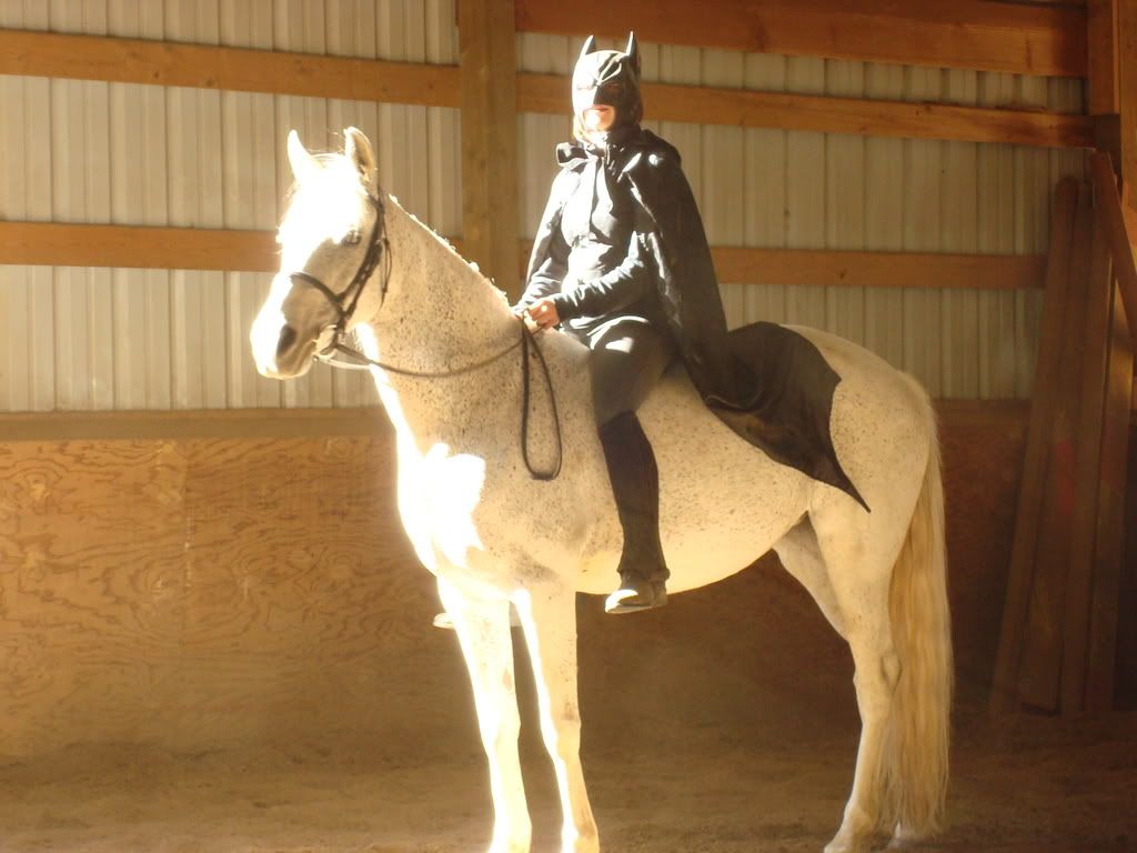 batman riding horse statue